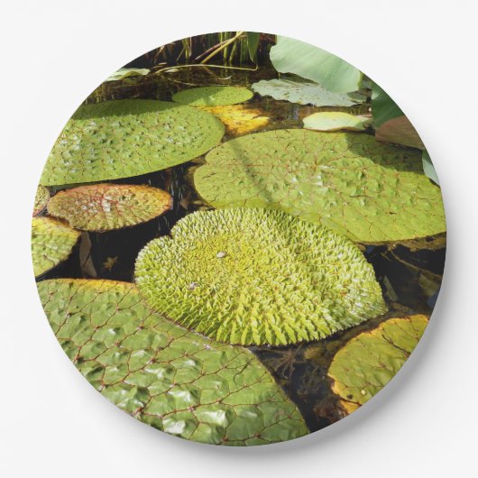 Lily Pads Paper Bord (Voorkant)