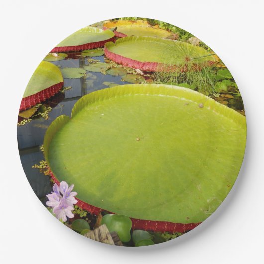 Lily Pads Paper Bord (Voorkant)