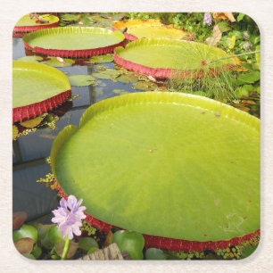 Lily Pads Paper Onderzetter