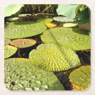 Lily Pads Paper Onderzetter
