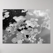 Lily Pads Poster (Voorkant)
