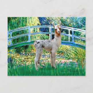 Lily Pond Bridge - Baby Lama Briefkaart