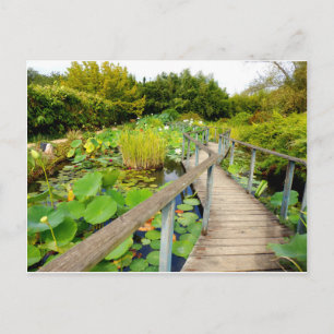 Lily Pond Briefkaart