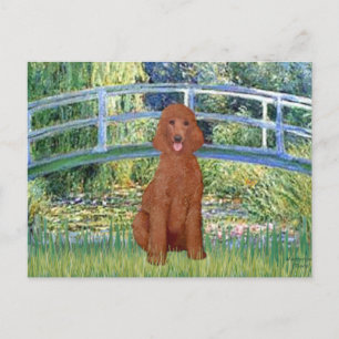 Lily Pond Brug - Donkerrode standaardpoedel #1 Briefkaart