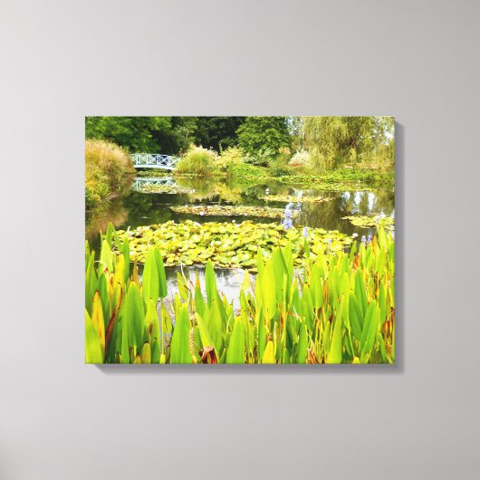 Lily Pond Canvas Print (Voorkant)