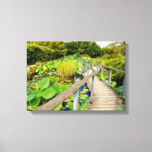 Lily Pond Canvas Print