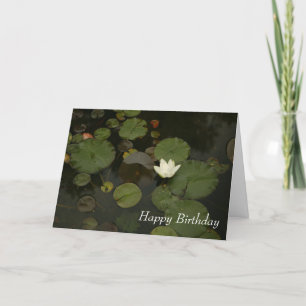 Lily Pond Happy Birthday Wenskaart Bedankkaart