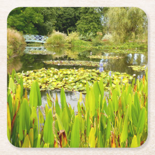 Lily Pond Paper Onderzetter
