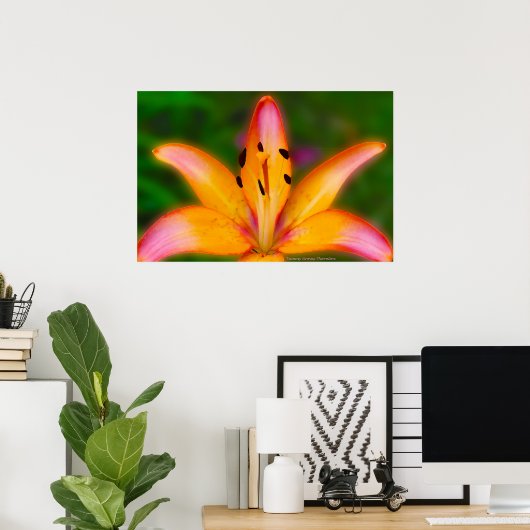 Lily Poster (Thuiskantoor)