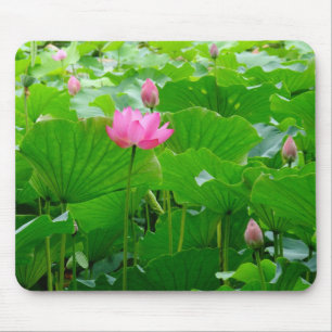 Lily Standing Tall Muismat