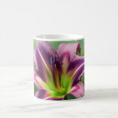 Lily Star - Daylily Koffiemok (Center)