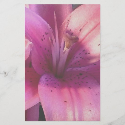 Lily Stationery Briefpapier (Voorkant)