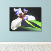 Lily Sur Toile Enveloppée (Insitu (Plancher de Bois))