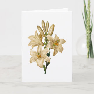 Lily Sympathy Greeting Card Kaart
