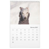 Lily the Whippet 2017 Calendar Kalender (Feb 2027)