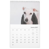 Lily the Whippet 2017 Calendar Kalender (Jan 2027)