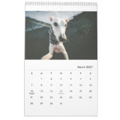 Lily the Whippet 2017 Calendar Kalender (Mar 2027)
