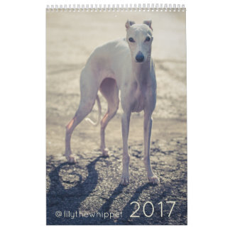 Lily the Whippet 2017 Calendar Kalender