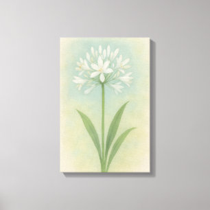 Lily van de Nijl Canvas Afdruk