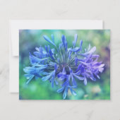 Lily van de Nijl Kaart (Achterkant)