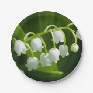 Lily van de vallebloem papieren bordje