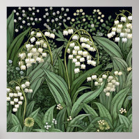 Lily van de Vallei Art Print