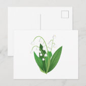 Lily van de vallei briefkaart (Voorkant / Achterkant)