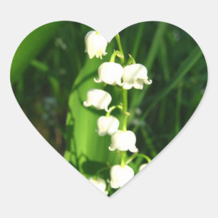 Lily van de vallei hart sticker