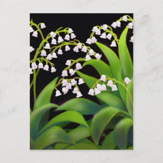 Lily van de Valley Briefkaart