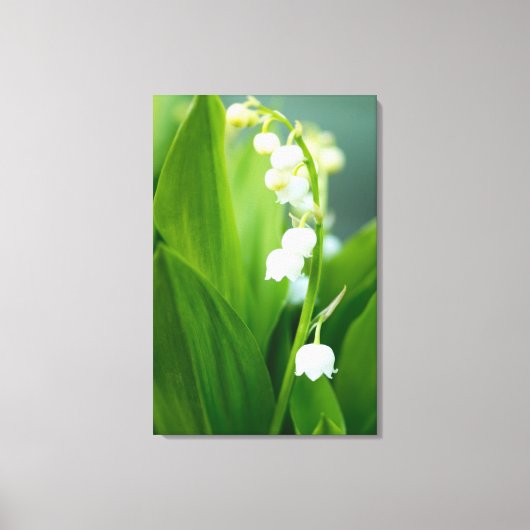 Lily van de Valley Canvas Afdruk (Voorkant)