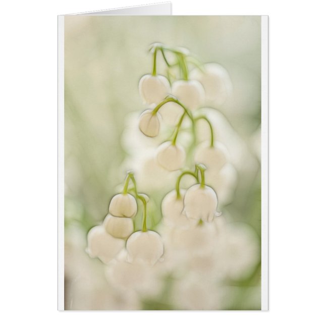 Lily van de Valley Flowers Sketch (Voorkant)