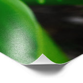 Lily van de Valley Foto Afdruk (Hoek)