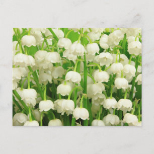 Lily van de Valley Spring Flowers Briefkaart