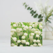Lily van de Valley Spring Flowers Briefkaart (Staand voorkant)