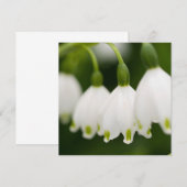 Lily van de Valley-uitnodigingen Kaart (Voorkant / Achterkant)