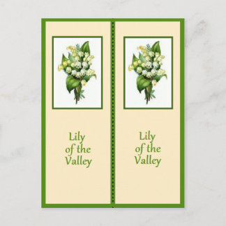 Lily van het Bladwijzer Valley Briefkaart
