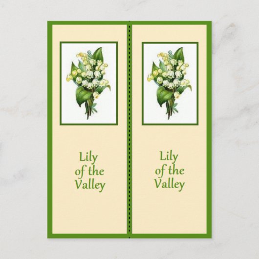 Lily van het Bladwijzer Valley Briefkaart (Voorkant)