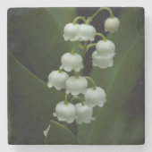 Lily van het Onderzetter van de vallei (Voorkant)