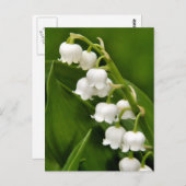 Lily van het Valley Briefkaart (Voorkant / Achterkant)