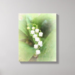 Lily van The Valley Stretched Canvas Print