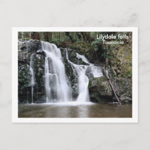 Lilydale herfsten, Tasmania Briefkaart