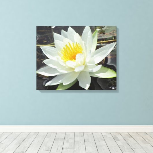 Lilypad Canvas Afdruk (Insitu (Houten vloer))