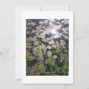 'Lilypads' All-purpose uitnodiging om aan te passe