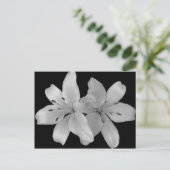 Lilys Briefkaart (Staand voorkant)