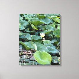 Lilyshade Silence 16 x 20 Canvas Afdruk