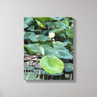 Lilyshade Stilte 11 x 14 Canvas Afdruk
