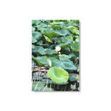 Lilyshade Stilte 20 x30