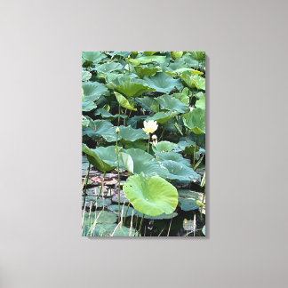 Lilyshade Stilte 20 x30 Canvas Afdruk