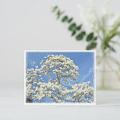 Lilytree Briefkaart (Staand voorkant)