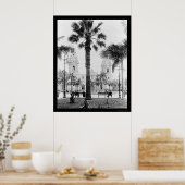 Lima, Peru Cathedraal 1902 Poster (Keuken)